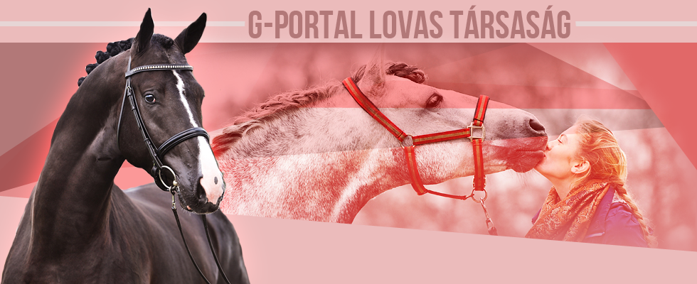 G-portal Lovas Trsasg
